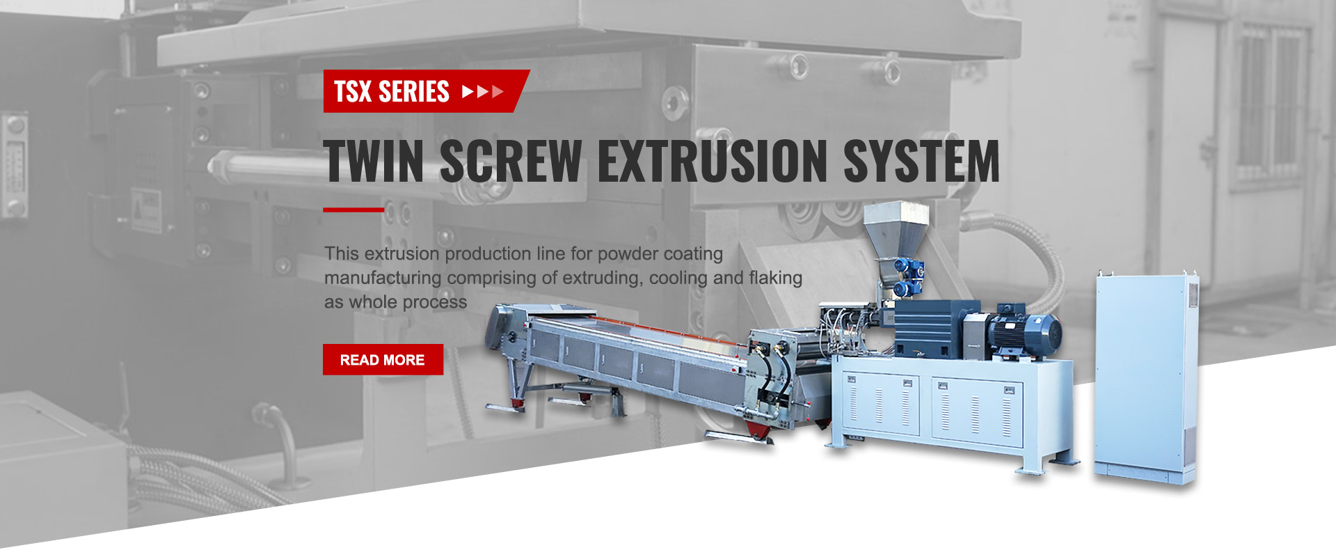 twin screw extrusion system