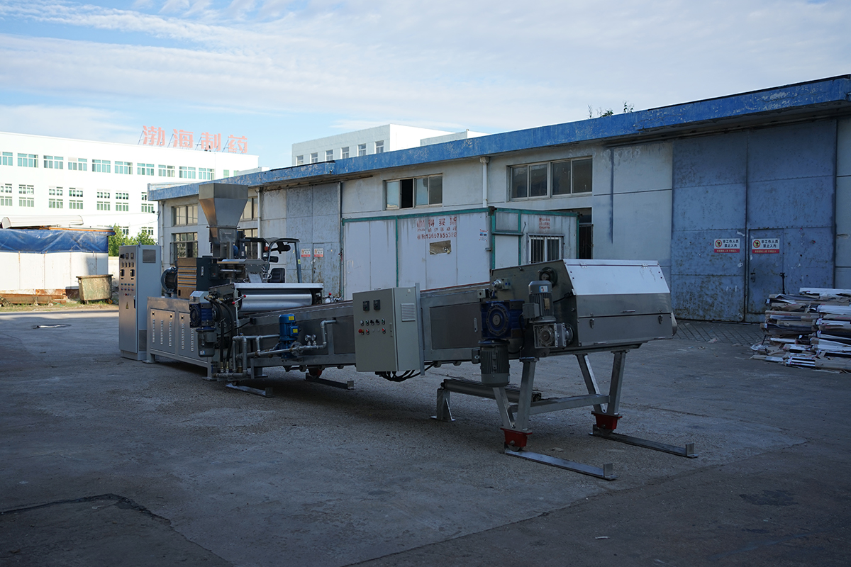 Twin Shaft High Capacity Food Processing Twin Screw Extruder